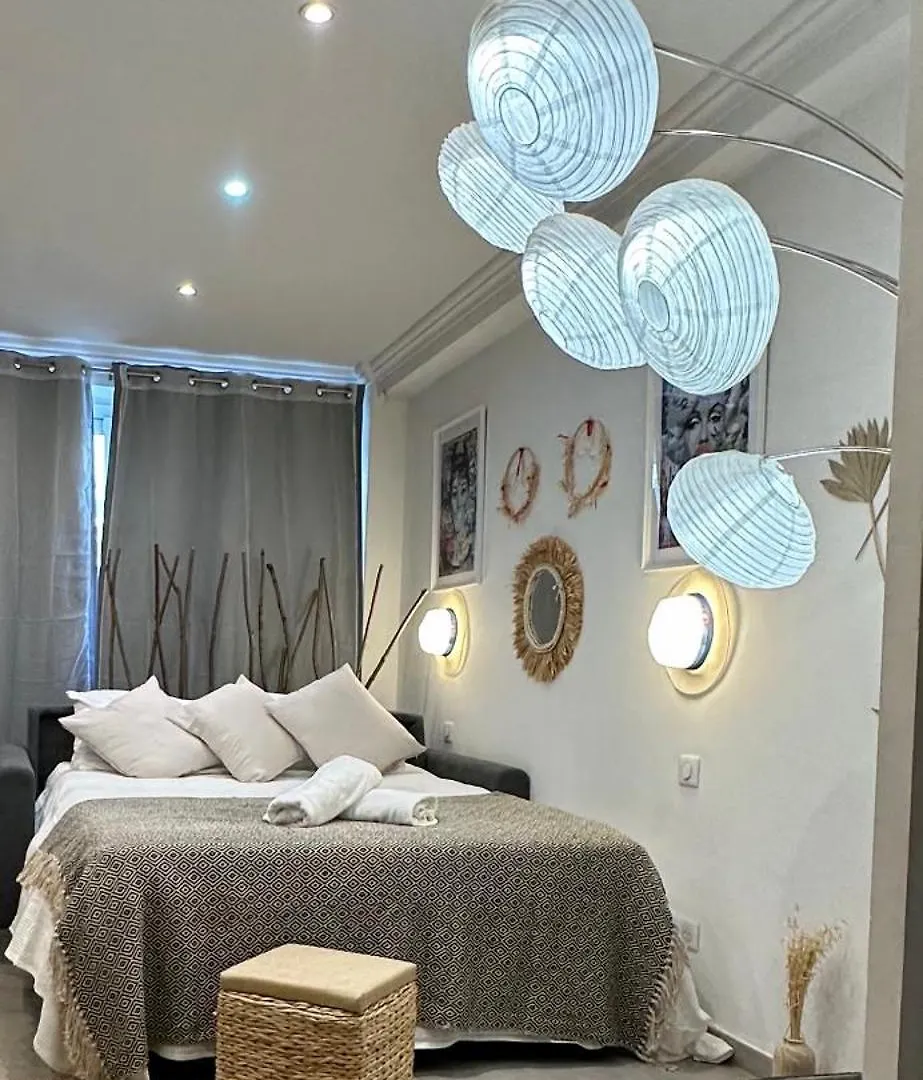 Lägenhet Grand Studio Cosy Cannes Centre
